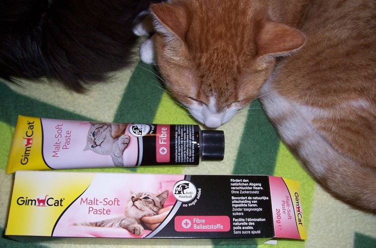 Pâte de malt de GimGat (Allemagne)