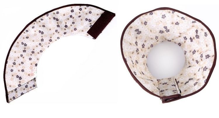 Collier post-opératoire pour chats