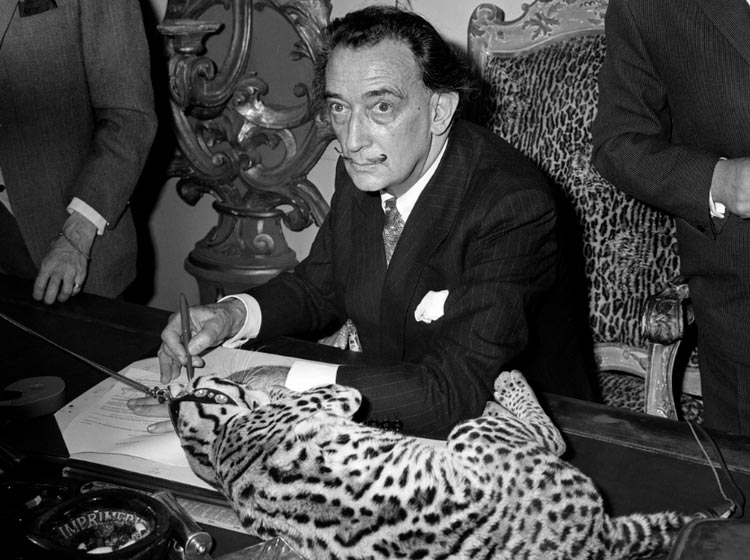 L'ocelot de Salvador Dali