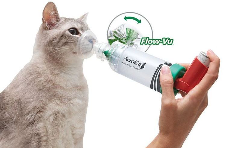Aérosol Aerocat contre l'asthme pour chats