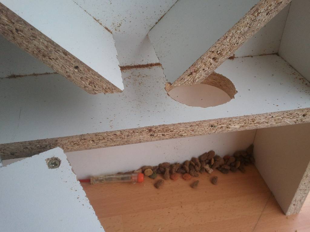 Distributeur automatique de croquettes pour chat à faire soi-même