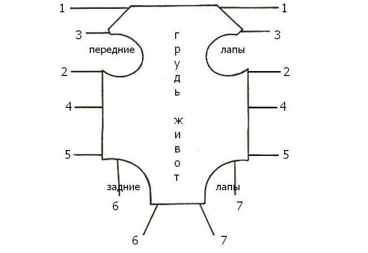 Pansement post-opératoire fait maison pour un chat