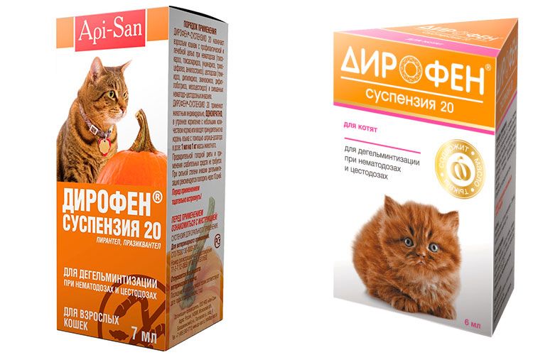 Suspension Dirofen pour chats