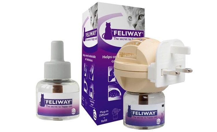 Diffuseur et spray Feliway pour chats