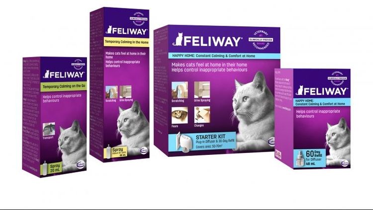 Feliway pour chats