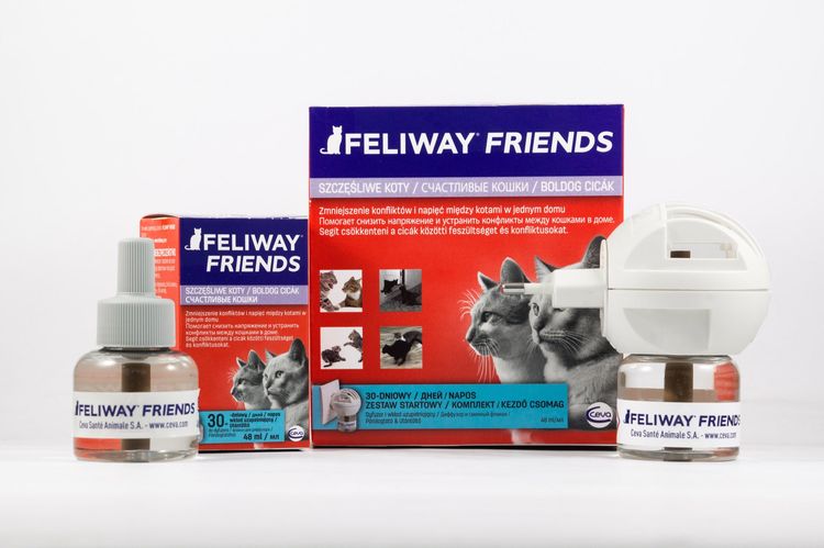 Feliway Friends pour chats