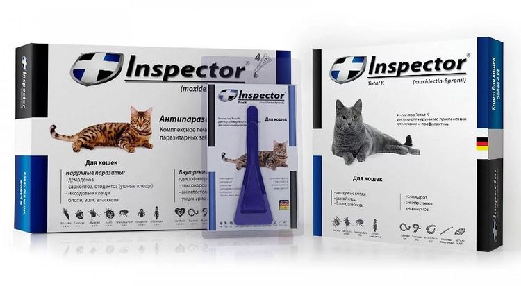 Inspecteur Total pour chats