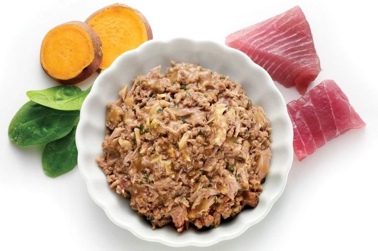 Aliment humide pour chats Matisse