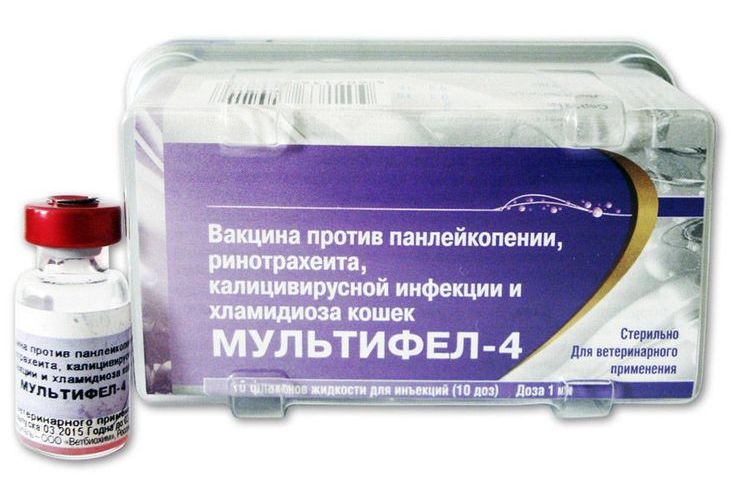 Multifel 4 pour chats