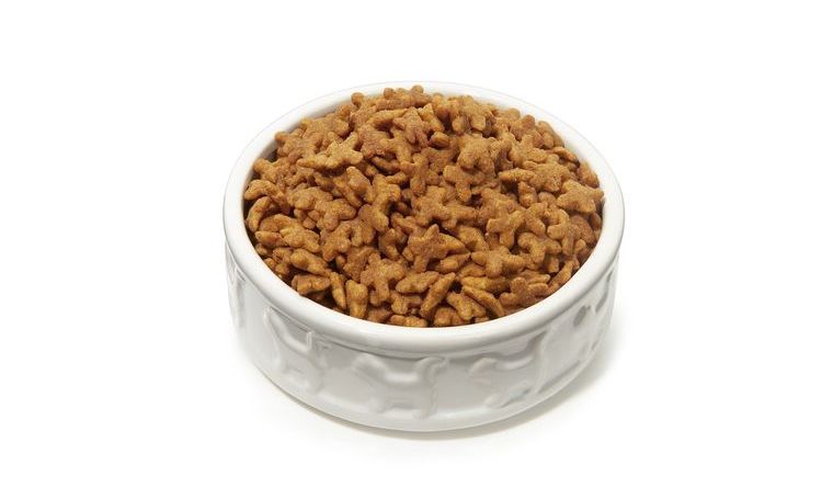 Bol contenant de la nourriture