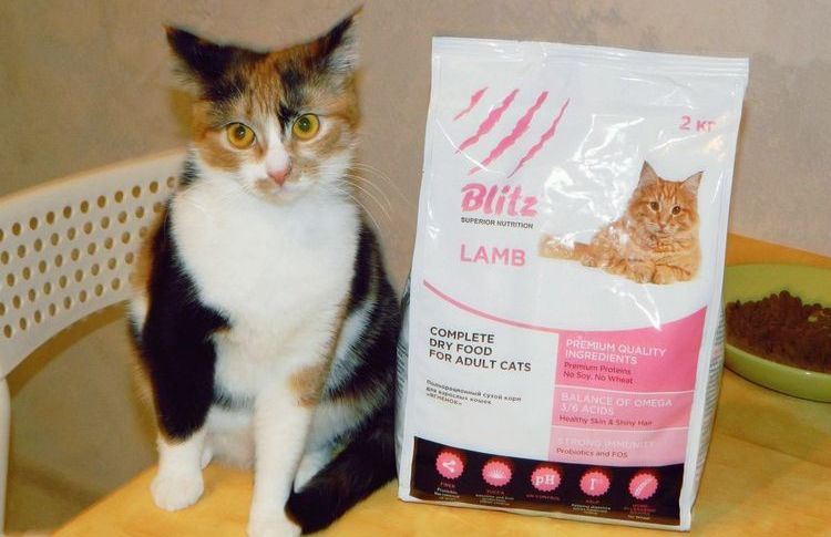 Nourriture pour chats Blitz