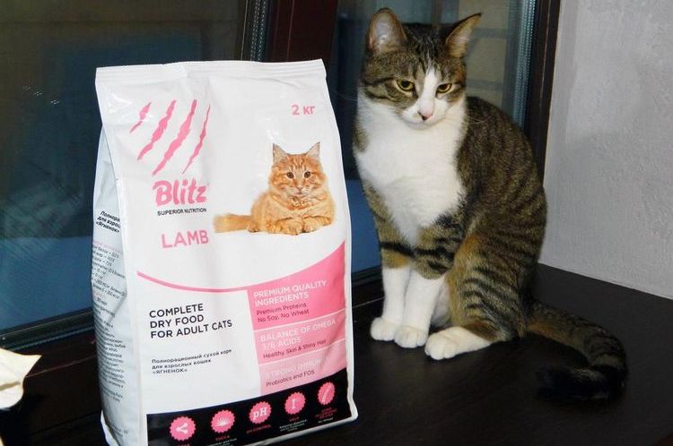 Nourriture pour chats Blitz