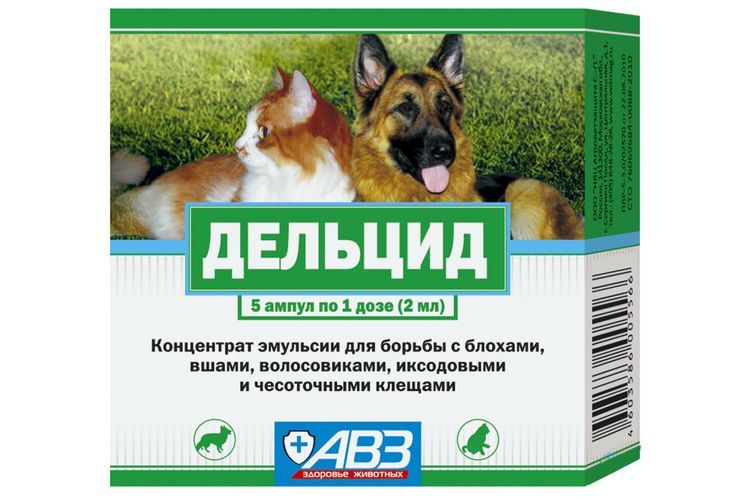Delcid pour chats et chiens