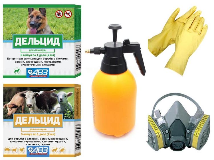 Protection lors de l'utilisation de Delcid