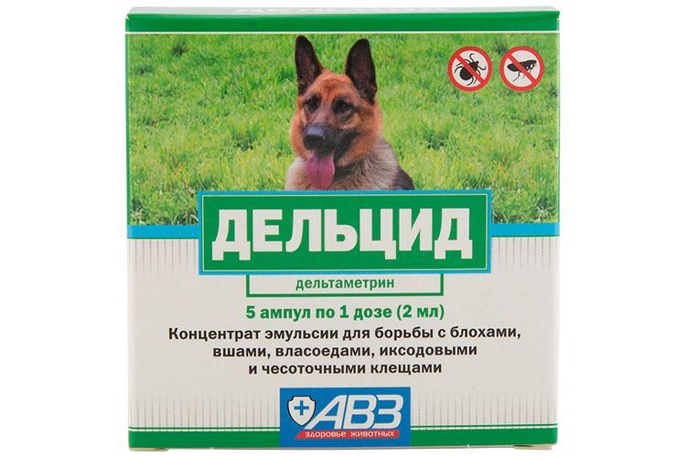 Delcid pour chats et chiens