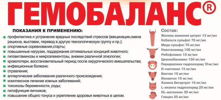 Composition du médicament Hemobalance
