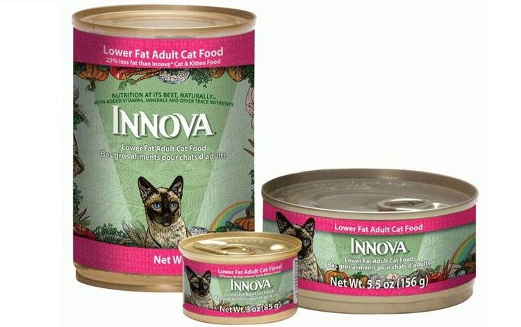 Nourriture en conserve pour chats Innova