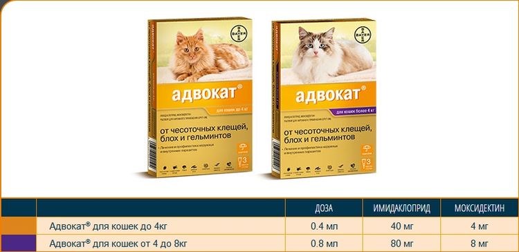 Advocate gouttes pour chats