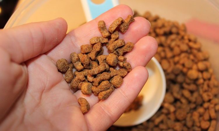 Granulés pour chats Terracotta