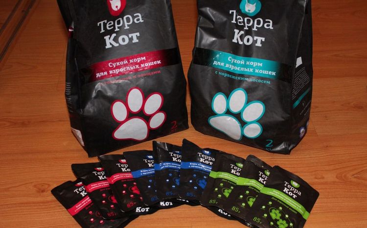 Nourriture pour chats en terre cuite