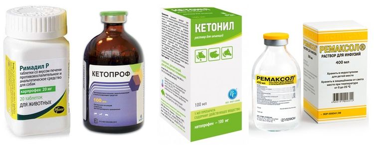 Analogues de l'aspirine pour chiens