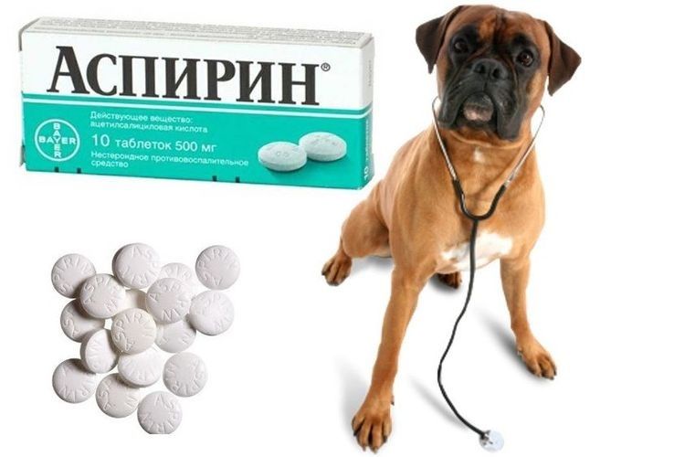 Aspirine pour chiens