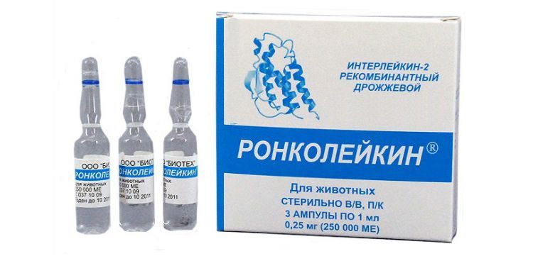 Roncoleukin pour chats