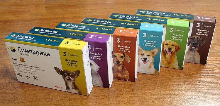 Simparica pour chiens