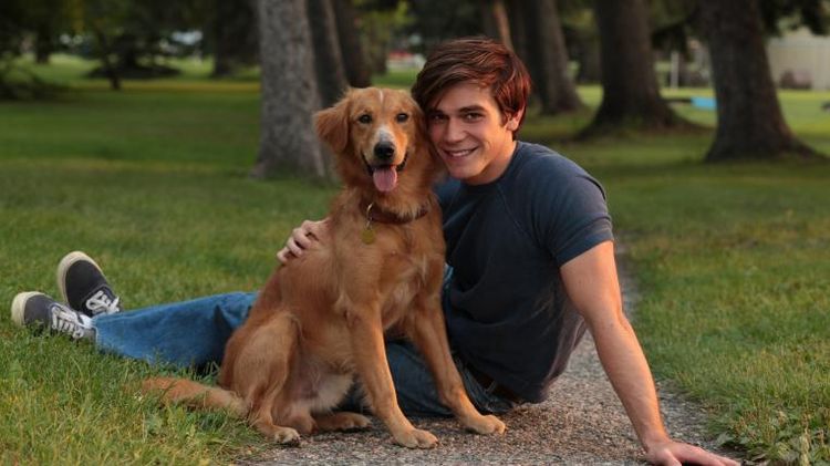 Le chien d'Archie Andrews