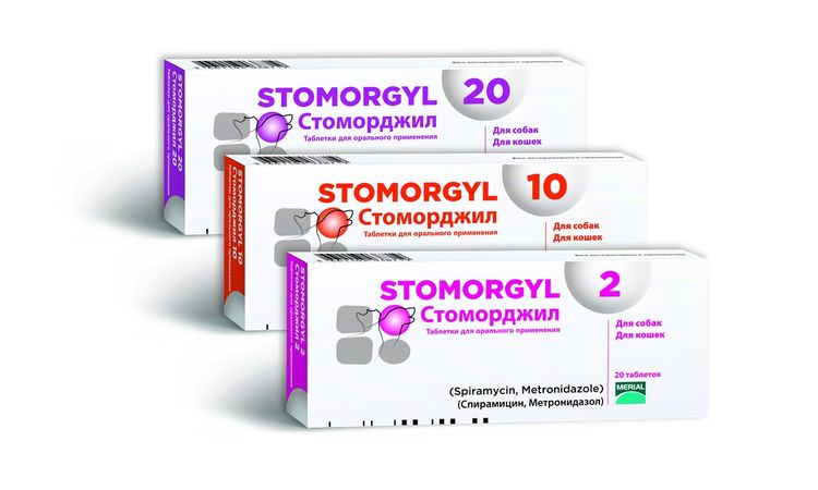 Stomorjil pour chats