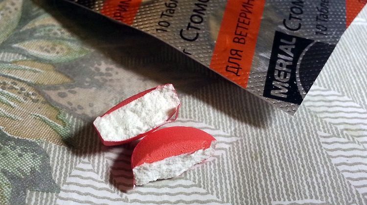 Comprimés Stomorjil pour chats