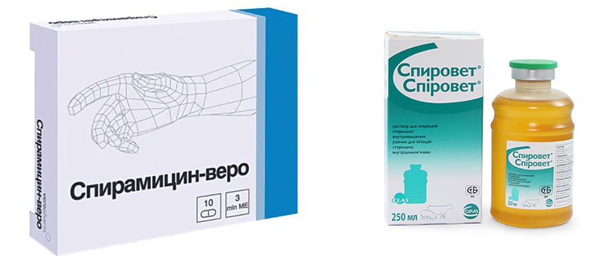 Spiramycine et Spirovet - analogues du médicament Stomorgil