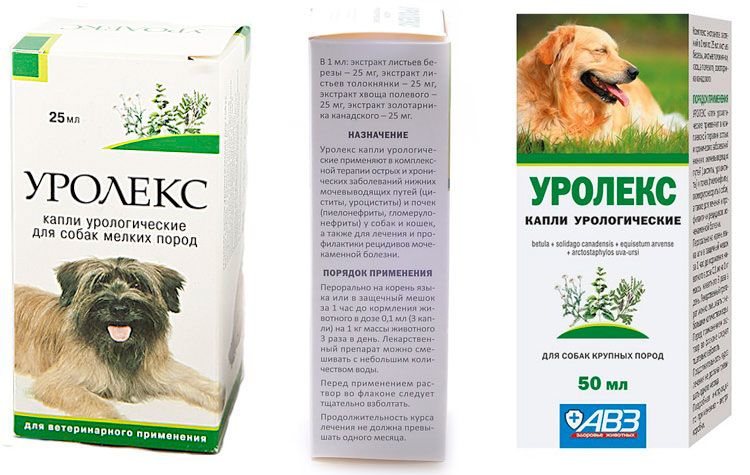 Urolex pour chiens