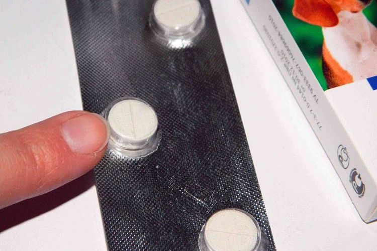 Comprimés Alben pour chiens