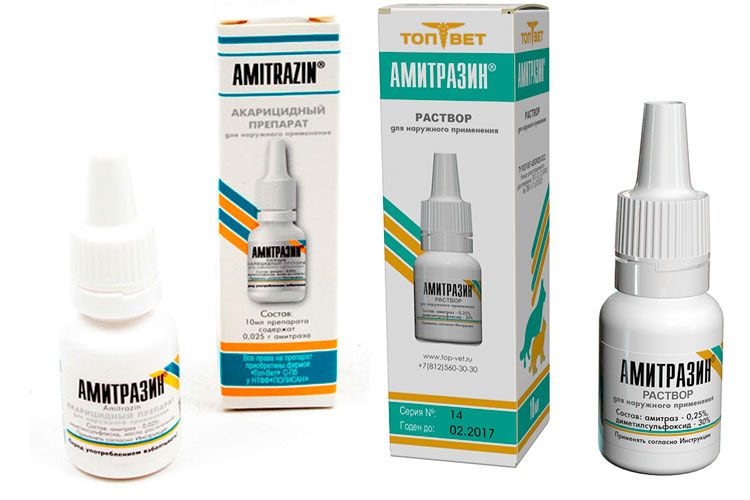 Amitrazine pour chiens