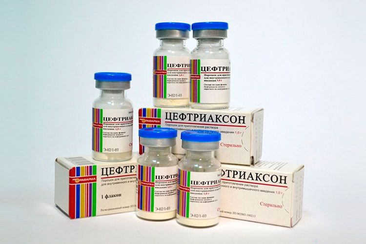 Ceftriaxone pour chiens