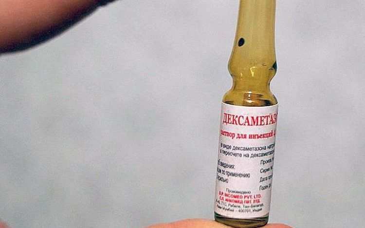 Dexaméthasone pour chiens