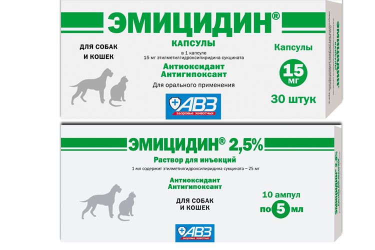 Émicidine pour chiens