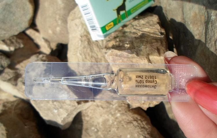 Entomosan S pour chiens