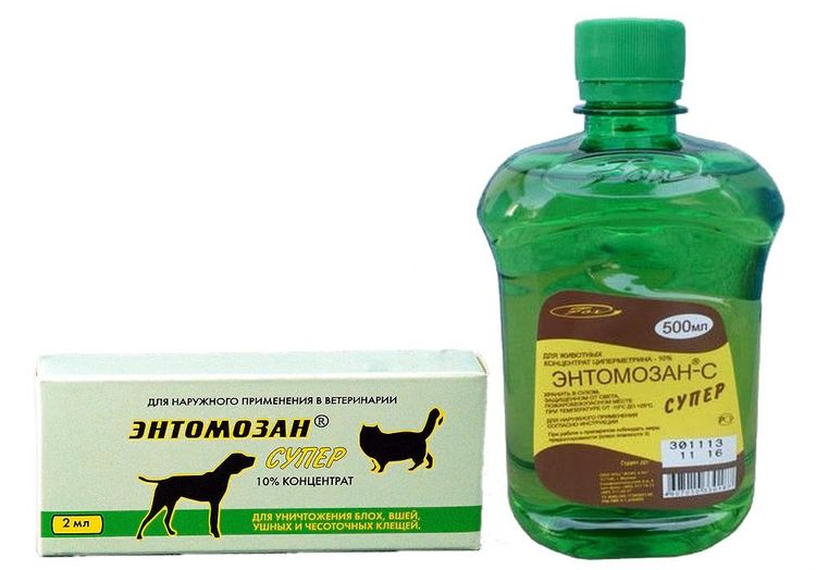 Entomosan S pour chiens