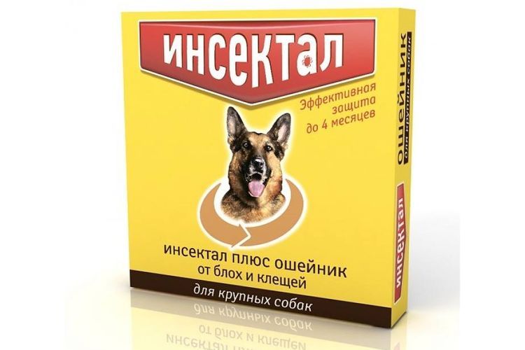Insektal pour chiens