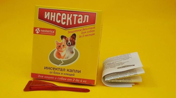 Insektal pour chiens