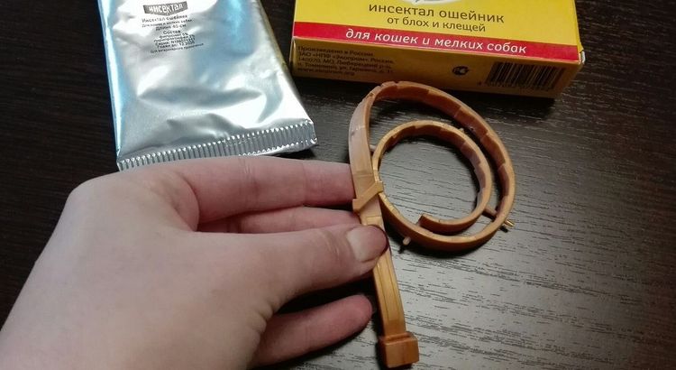 Collier Insektal pour chiens