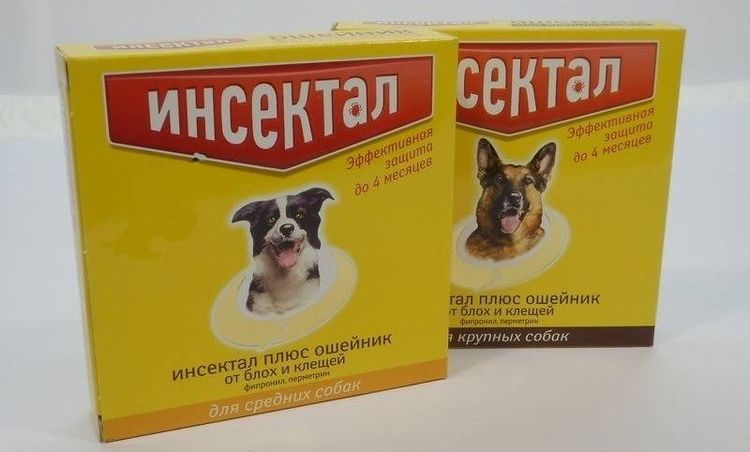 Insektal pour chiens