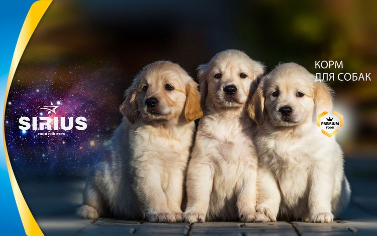 Nourriture pour chiens Sirius