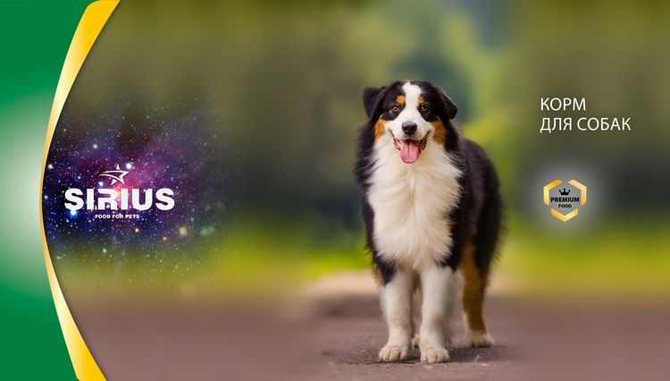 Nourriture pour chiens Sirius