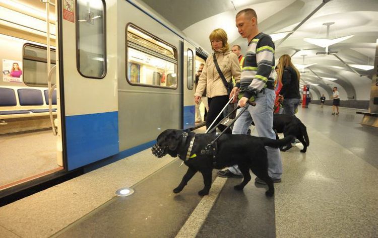 Un chien entre dans le métro
