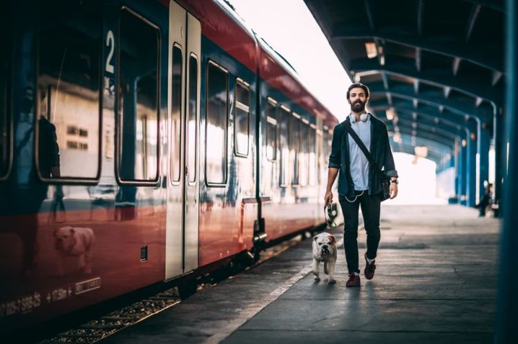 Un chien et son maître dans le métro