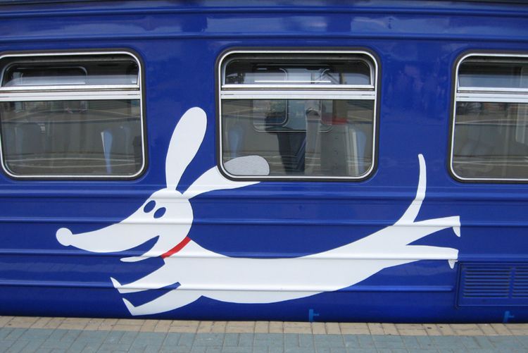 Un train électrique avec un chien à bord