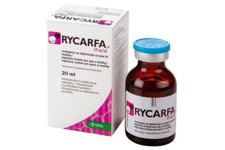 Ricarfa pour chiens